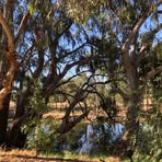 Profile Picture of Peter Braithwaite (@peter.braithwaite.31) on Facebook