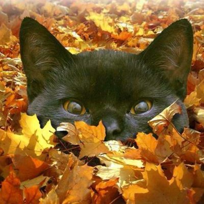 Profile Picture of Kenneth Henderson (@SeattleDMKen) on Twitter