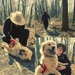 Profile Picture of Andrew Curley (@curley_andrew) on Instagram