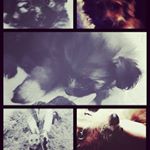 Profile Picture of Clover-louise E widdowson (@xo_clov_xo) on Instagram