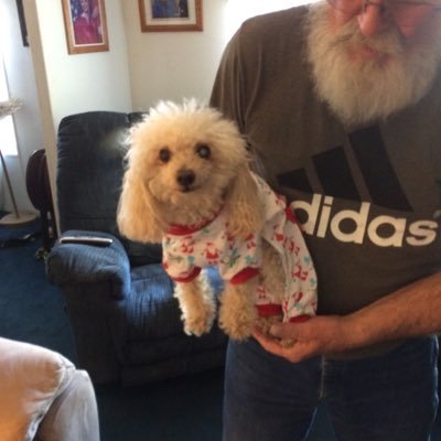 Profile Picture of Frances Bates (@rufus806) on Twitter