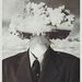 Profile Picture of Ian Staley (@cheesooni) on Pinterest