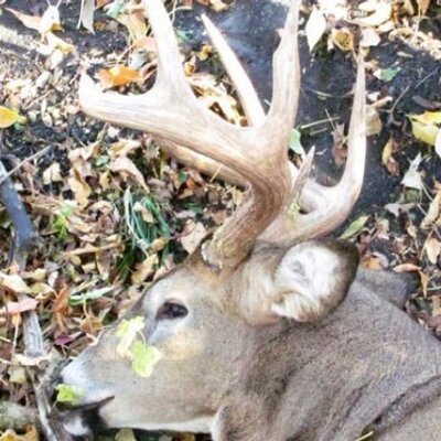 Profile Picture of Kevin Nelsen (@K_Stretch70) on Twitter