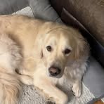 Profile Picture of Kenneth Graumann II (@kenny.graumann) on Facebook