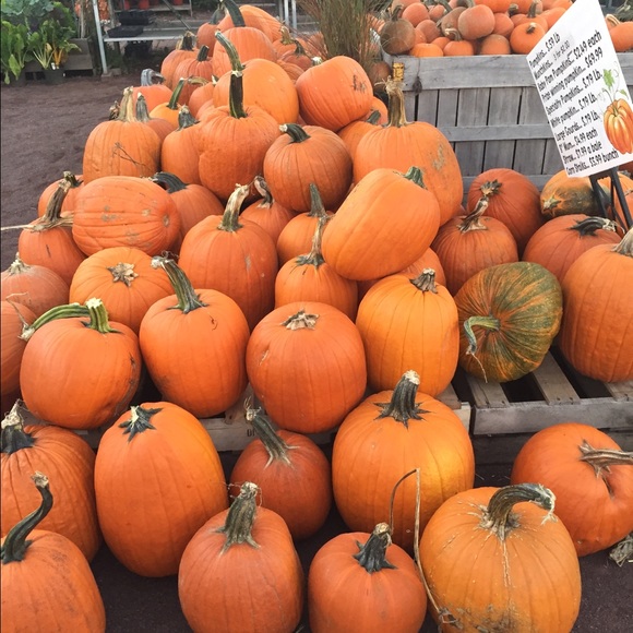 Profile Picture of Jamie Higgins (@higgins0) on Poshmark