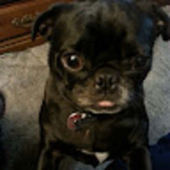 Profile Picture of Stacey Bothun (@staceybothun) on Poshmark