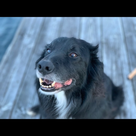 Profile Picture of John patrick Larsen (@squidsecurity) on Poshmark