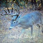 Profile Picture of Randy Stover Sr. (@sr.randystover) on Instagram