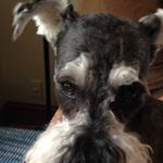 Profile Picture of Jeremy Crompton (@straightouttac03) on Instagram