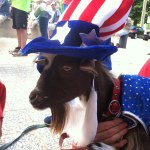 Profile Picture of Bart Viguers (@rangerbart) on Instagram