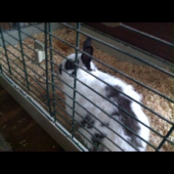 Profile Picture of Alison Glasgow (@aglasgow9) on Poshmark