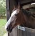 Profile Picture of Adele Craven (@adele.craven.12) on Facebook