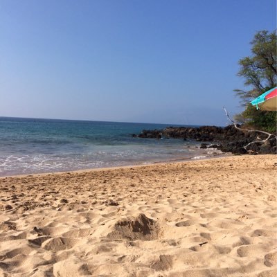 Profile Picture of Treena Daniels (@TJDteacher) on Twitter