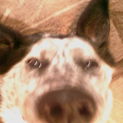 Profile Picture of Jennifer Becker (@jdochenetz) on Twitter