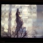 Profile Picture of Lauren + Heidi (@766milesbetweenus) on Instagram