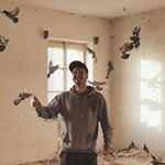 Profile Picture of Daniel Pipek Fröhlich (@pipek.daniel) on Instagram