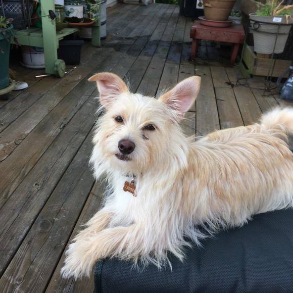 Profile Picture of Pat Howell (@pathowell851) on Poshmark