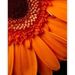 Profile Picture of Terry Gates (@terry1330) on Pinterest