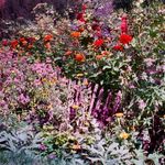 Profile Picture of Monique Kennedy-Read (@moniquekennedyread) on Instagram