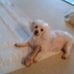 Profile Picture of Margaret Cameron (@Margaret-Cameron) on Facebook