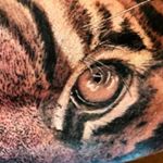 Profile Picture of Rube Compton (@mozzer310) on Instagram