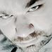 Profile Picture of Tommy Aplin (Tommy) (@DrunkOnMC) on Facebook