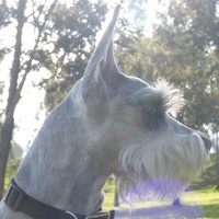 Profile Picture of Vicente Cordova (@vicente-cordova) on Quora