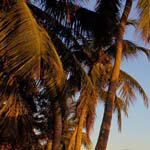 Profile Picture of Larry_Todd (@larry_todda) on Instagram