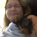 Profile Picture of Yolanda Kay McCormick (@wildcatskitten) on Instagram