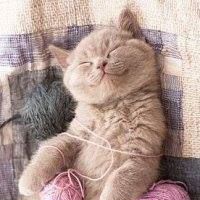 Profile Picture of Carlene Bjorling (@carlene.bjorling) on Facebook