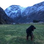 Mads Werner N. Nødtvedt - Instagram Profile Picture of Mads Werner N. Nødtvedt (@norseworg) on Instagram