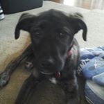 Profile Picture of Adriana Ratliff (@sugar_kisses_candy) on Instagram