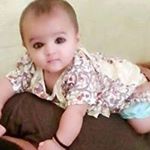 Mahmood Ghazi - Instagram Profile Picture of Mahmood Ghazi (@ghazi.mahmood) on Instagram