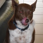 Profile Picture of Beverley Warman (@beverley.warman) on Facebook