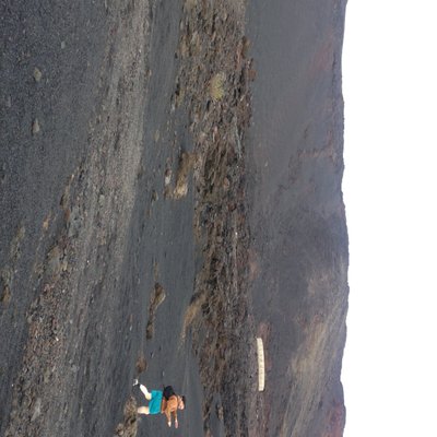 Robert Mccomish - Twitter Profile Picture of Robert Mccomish (@Rob_not_bert) on Twitter