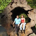 Echo Clark - Instagram Profile Picture of Echo Clark (@echoclark) on Instagram