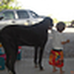 Profile Picture of Linda Blake (@Goober Bob) on Flickr