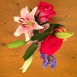 Profile Picture of Dena Yoder (@pl20dc1) on Instagram