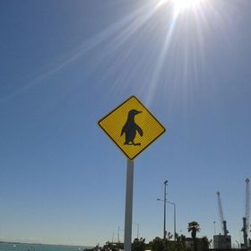 Profile Picture of Shaun Cahoon (@shauncahoon) on Pinterest