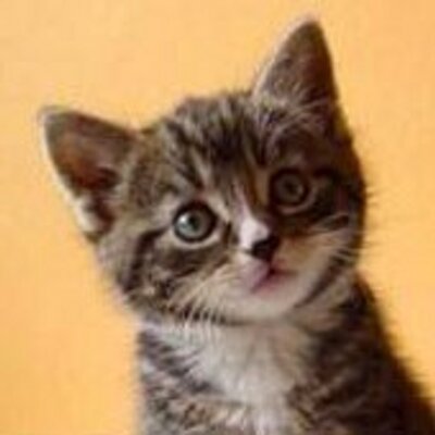 Profile Picture of Andrew Hallman (@myTouchofTech) on Twitter