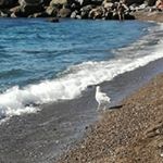 Profile Picture of Roberta Marino Cerrato (@robertacerrato) on Instagram