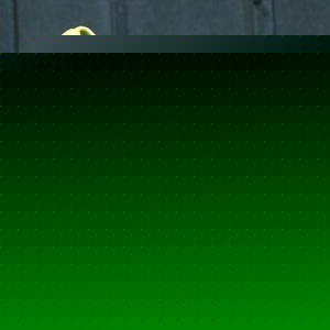 Loralee Paulson - Myspace Profile Picture of Loralee Paulson (@122336816) on Myspace