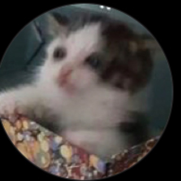 Profile Picture of Jayleene Leonis (@jl77495) on Poshmark