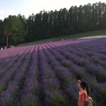 ceci🌸セシ - Instagram Profile Picture of ceci🌸セシ (@ceciliakwong0203) on Instagram