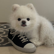 Jamie Zhang - Youtube Profile Picture of Jamie Zhang (@KKYXZ) on Youtube