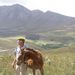 Profile Picture of Laurie Jacobs (@zoifws) on Pinterest