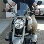 Profile Picture of Arnold Bender (@benderarnold) on Instagram