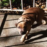 Profile Picture of Jacob Snelling (@jacob_24935) on Instagram