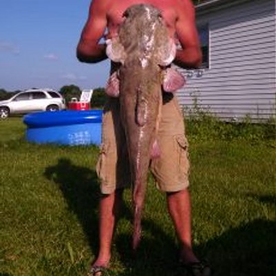 Profile Picture of Matthew Ahlers (@ahlersmatt) on Twitter