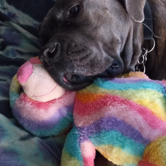 Profile Picture of John Hutcherson (@hazydazeretailr) on Poshmark